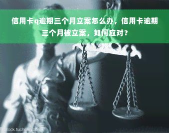 信用卡q逾期三个月立案怎么办，信用卡逾期三个月被立案，如何应对？