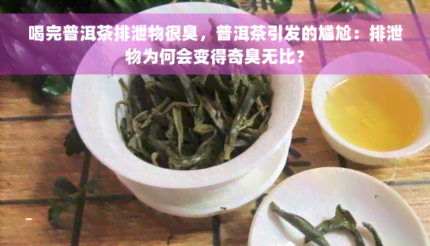 喝完普洱茶排泄物很臭，普洱茶引发的尴尬：排泄物为何会变得奇臭无比？