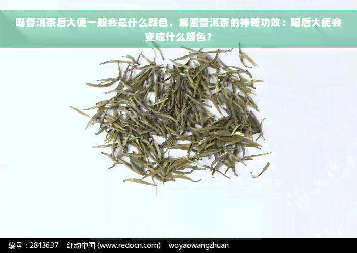 喝普洱茶后大便一般会是什么颜色，解密普洱茶的神奇功效：喝后大便会变成什么颜色？