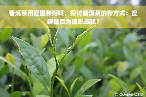 普洱茶用瓷罐存好吗，探讨普洱茶的存方式：瓷罐是否为理想选择？