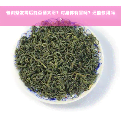 普洱茶发霉后能否晒太阳？对身体有害吗？还能饮用吗？