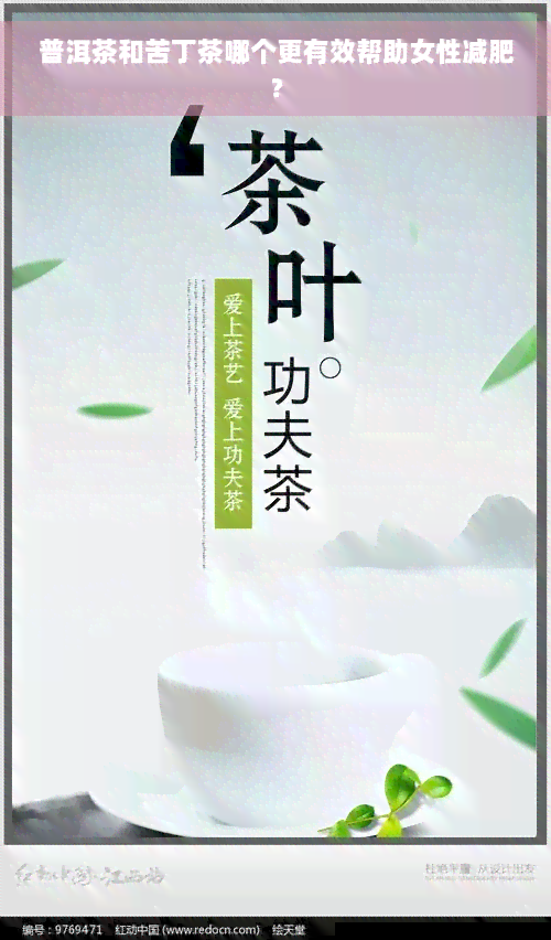 普洱茶和苦丁茶哪个更有效帮助女性减肥？