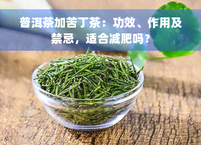 普洱茶加苦丁茶：功效、作用及禁忌，适合减肥吗？