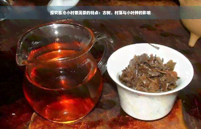 探究临沧小村普洱茶的特点：古树、村落与小叶种的影响