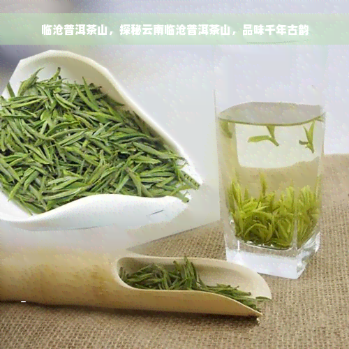 临沧普洱茶山，探秘云南临沧普洱茶山，品味千年古韵