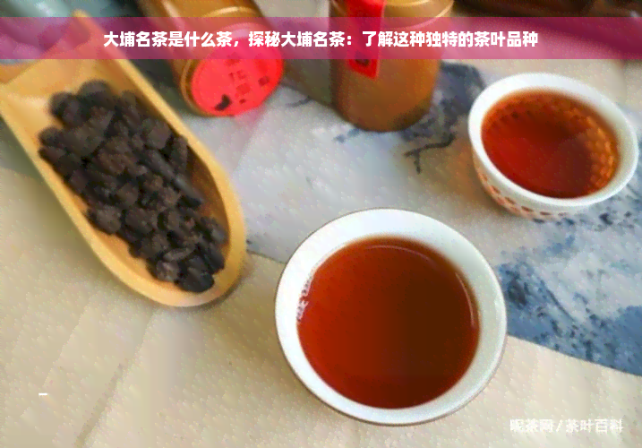 大埔名茶是什么茶，探秘大埔名茶：了解这种独特的茶叶品种