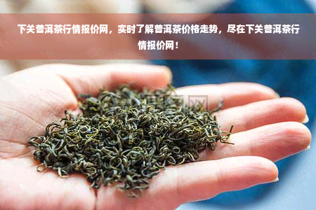 下关普洱茶行情报价网，实时了解普洱茶价格走势，尽在下关普洱茶行情报价网！