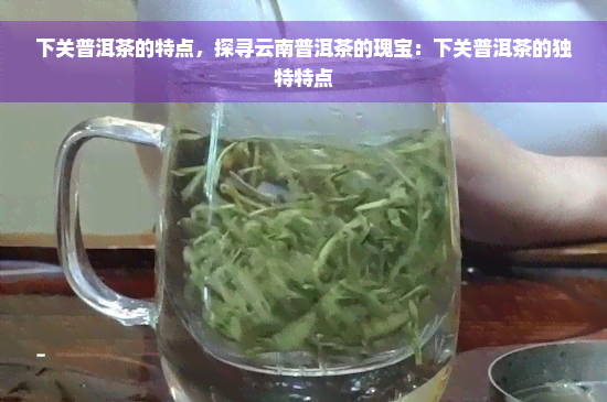 下关普洱茶的特点，探寻云南普洱茶的瑰宝：下关普洱茶的独特特点