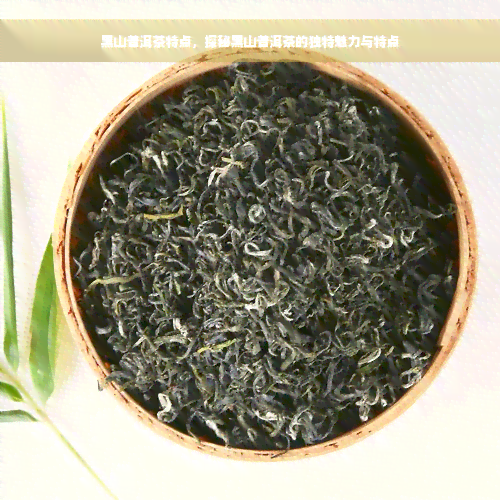 黑山普洱茶特点，探秘黑山普洱茶的独特魅力与特点