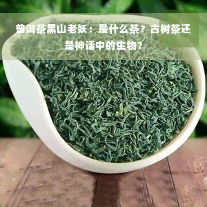 普洱茶黑山老妖：是什么茶？古树茶还是神话中的生物？