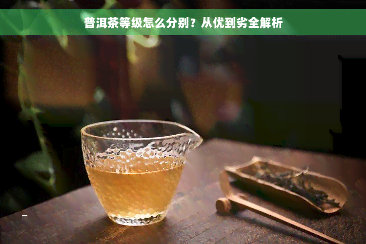 普洱茶等级怎么分别？从优到劣全解析