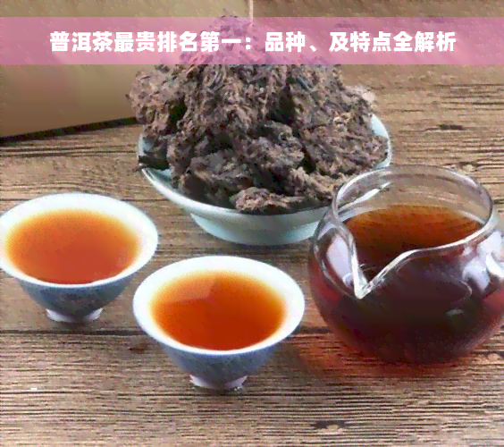 普洱茶最贵排名之一：品种、及特点全解析