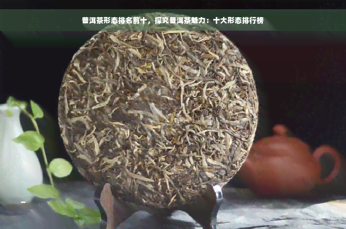 普洱茶形态排名前十，探究普洱茶魅力：十大形态排行榜