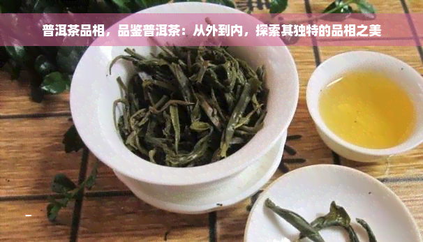 普洱茶品相，品鉴普洱茶：从外到内，探索其独特的品相之美