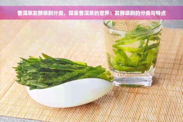 普洱茶发酵级别分类，探索普洱茶的世界：发酵级别的分类与特点