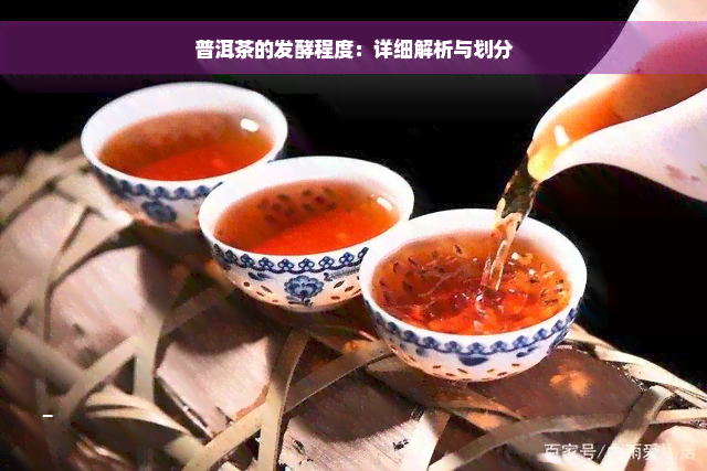 普洱茶的发酵程度：详细解析与划分