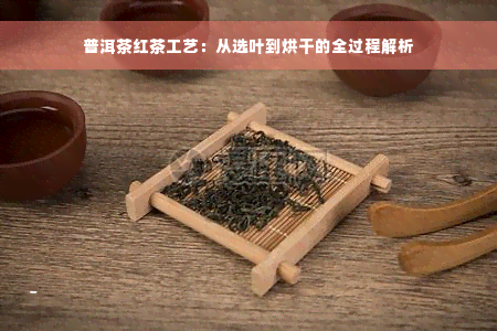 普洱茶红茶工艺：从选叶到烘干的全过程解析