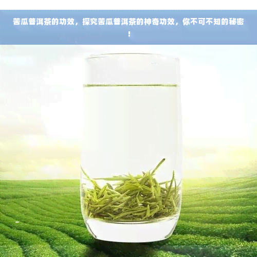 苦瓜普洱茶的功效，探究苦瓜普洱茶的神奇功效，你不可不知的秘密！