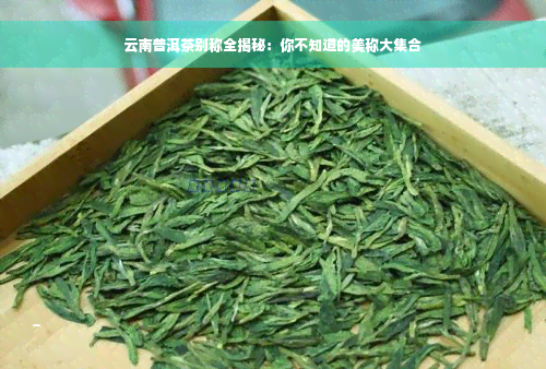 云南普洱茶别称全揭秘：你不知道的美称大 *** 