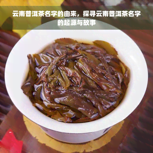 云南普洱茶名字的由来，探寻云南普洱茶名字的起源与故事