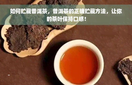 如何贮藏普洱茶，普洱茶的正确贮藏方法，让你的茶叶保持口感！