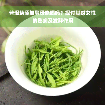 普洱茶添加酵母能喝吗？探讨其对女性的影响及发酵作用