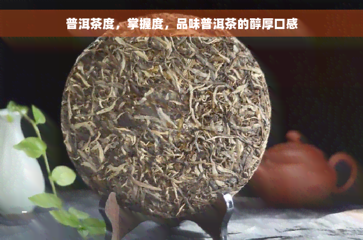 普洱茶度，掌握度，品味普洱茶的醇厚口感