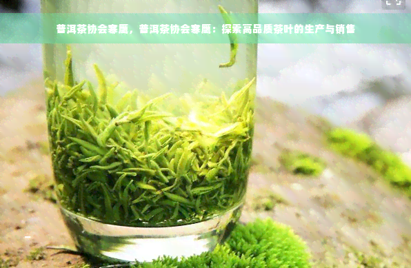 普洱茶协会寒鹰，普洱茶协会寒鹰：探索高品质茶叶的生产与销售