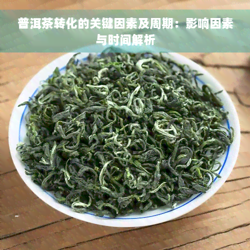 普洱茶转化的关键因素及周期：影响因素与时间解析