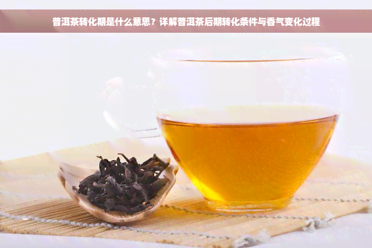 普洱茶转化期是什么意思？详解普洱茶后期转化条件与香气变化过程