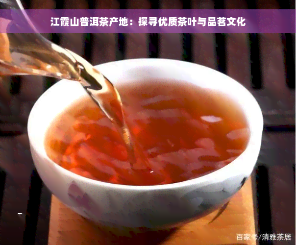 江霞山普洱茶产地：探寻优质茶叶与品茗文化