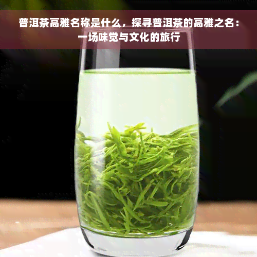 普洱茶高雅名称是什么，探寻普洱茶的高雅之名：一场味觉与文化的旅行