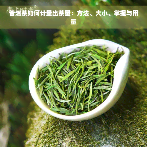 普洱茶如何计量出茶量：方法、大小、掌握与用量