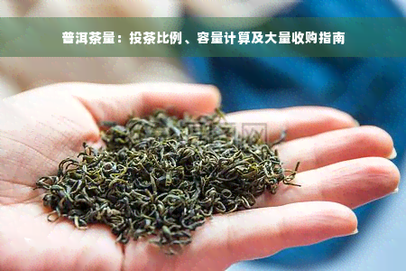 普洱茶量：投茶比例、容量计算及大量收购指南