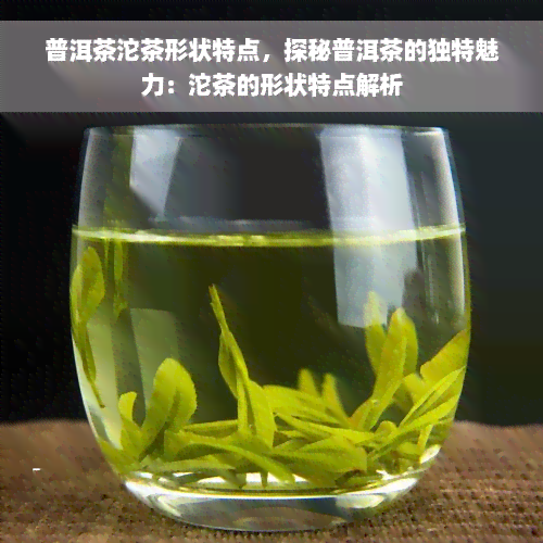 普洱茶沱茶形状特点，探秘普洱茶的独特魅力：沱茶的形状特点解析