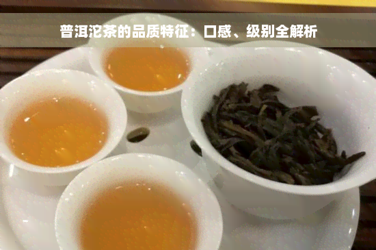 普洱沱茶的品质特征：口感、级别全解析