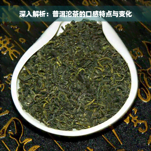 深入解析：普洱沱茶的口感特点与变化