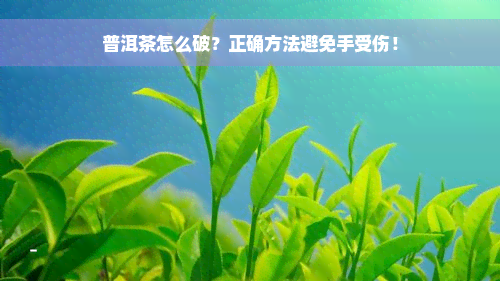 普洱茶怎么破？正确方法避免手受伤！