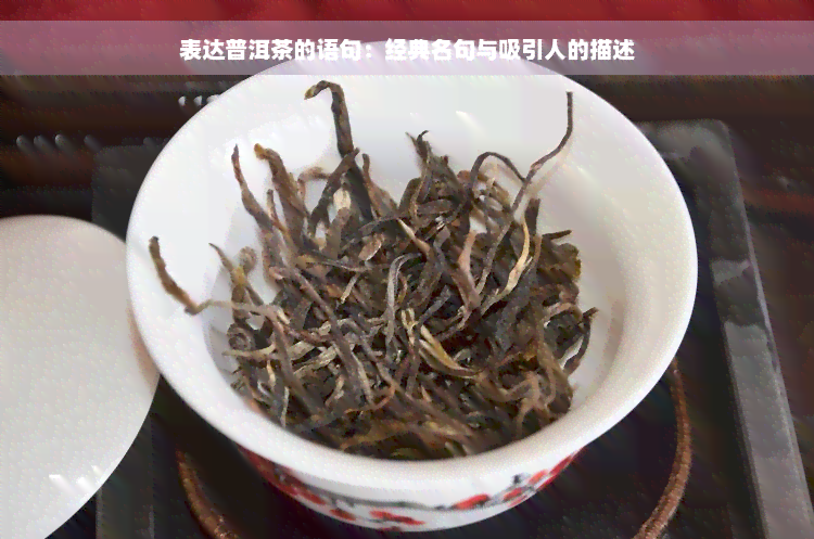 表达普洱茶的语句：经典名句与吸引人的描述