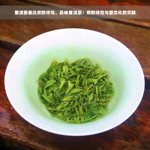 普洱茶表达欣的诗句，品味普洱茶：欣的诗句与茶文化的交融