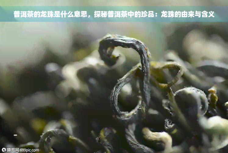 普洱茶的龙珠是什么意思，探秘普洱茶中的珍品：龙珠的由来与含义