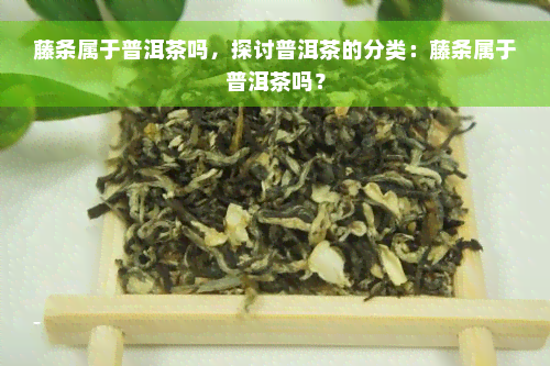 藤条属于普洱茶吗，探讨普洱茶的分类：藤条属于普洱茶吗？