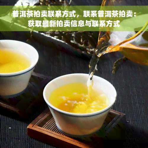 普洱茶拍卖联系方式，联系普洱茶拍卖：获取最新拍卖信息与联系方式