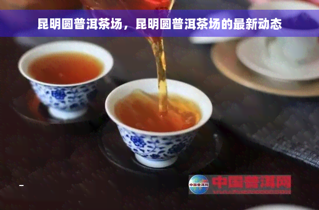 昆明圆普洱茶场，昆明圆普洱茶场的最新动态