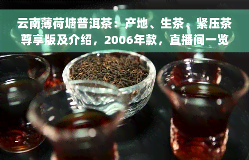 云南薄荷塘普洱茶：产地、生茶、紧压茶尊享版及介绍，2006年款，直播间一览