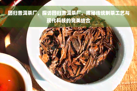 回归普洱茶厂，探访回归普洱茶厂，揭秘传统制茶工艺与现代科技的完美结合