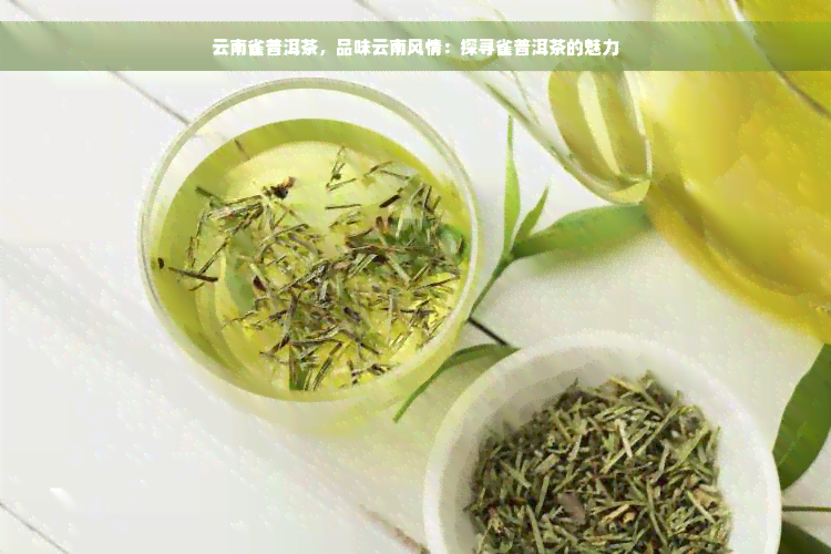 云南雀普洱茶，品味云南风情：探寻雀普洱茶的魅力