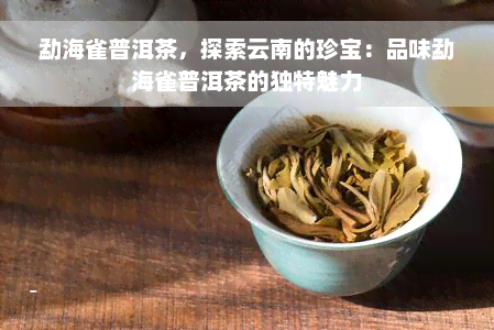 勐海雀普洱茶，探索云南的珍宝：品味勐海雀普洱茶的独特魅力