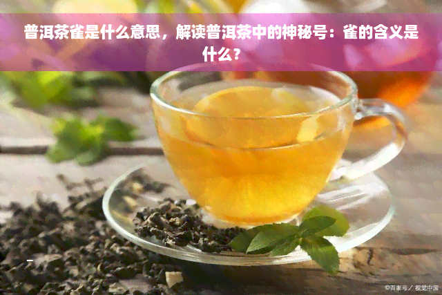 普洱茶雀是什么意思，解读普洱茶中的神秘号：雀的含义是什么？