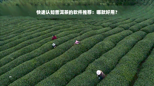 快速认知普洱茶的软件推荐：哪款好用？